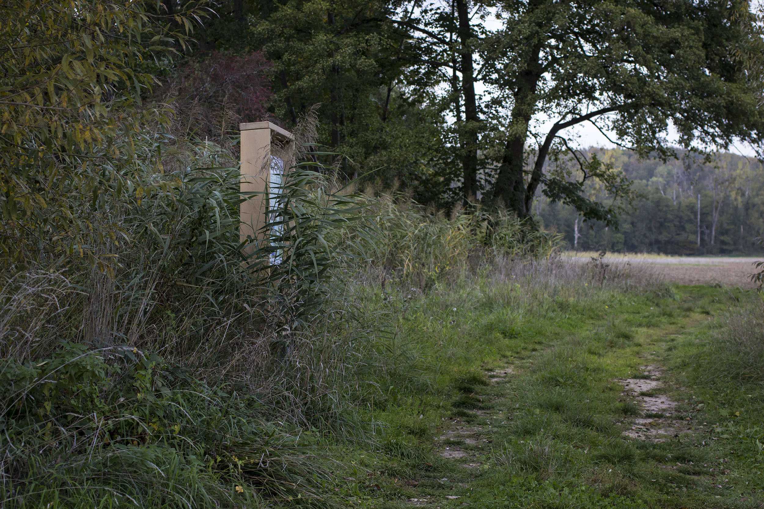 Panneau avec cadre en bois, discrètement implanté dans la nature, le long d'un chemin agricole en lisière de forêt.