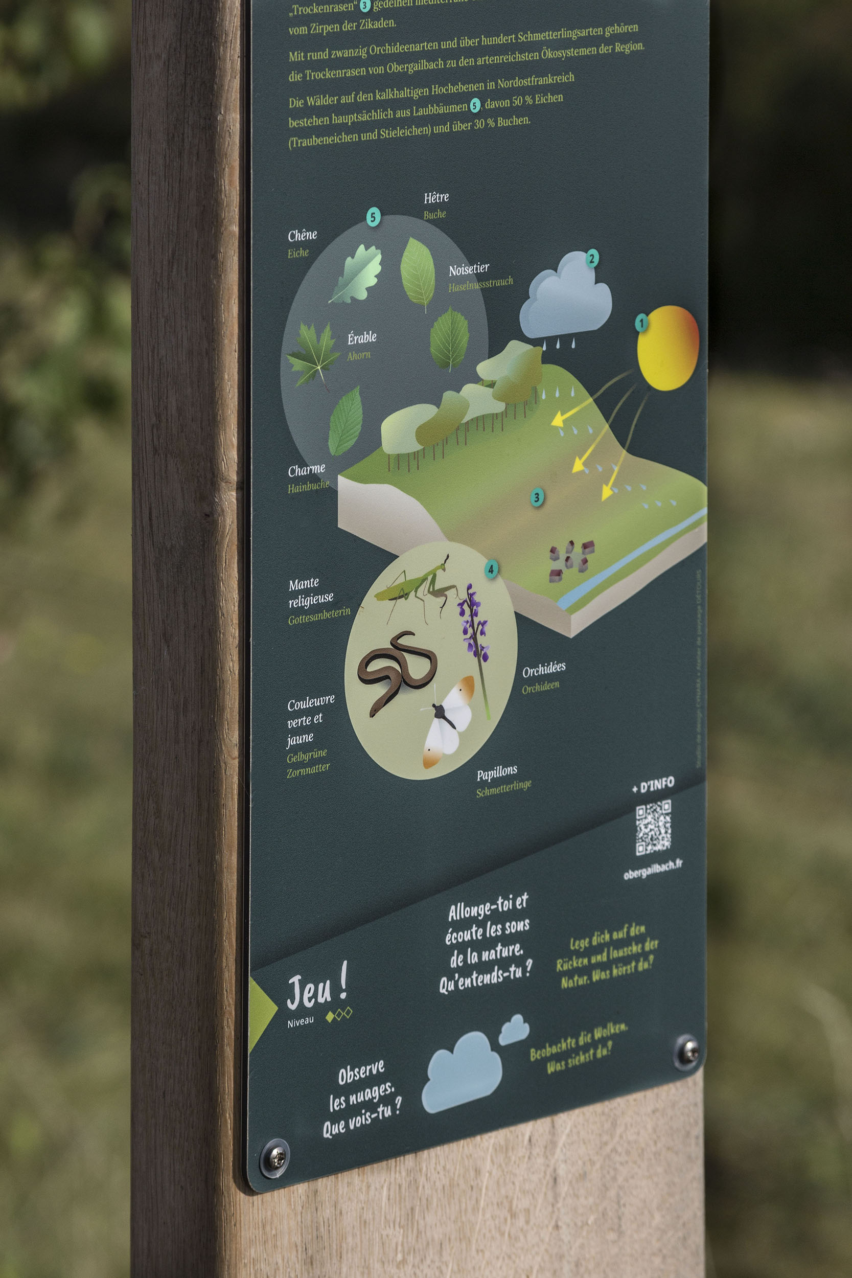 Gros plan sur l'illustration annotée qui présente la biodiversité des terrains calcaires, comme ici à Obergailbach.