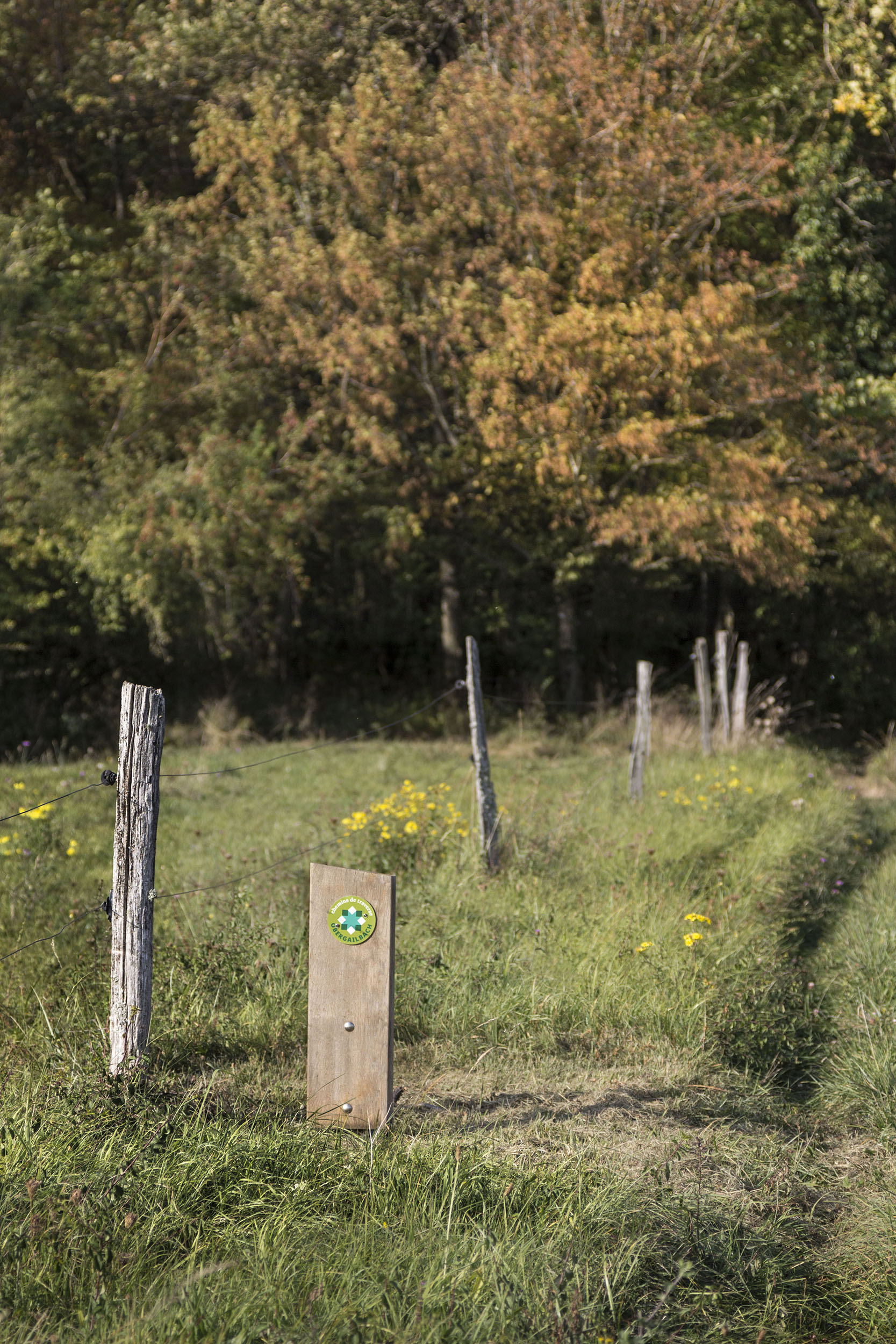 Une borne de fléchage signalétique apparait le long du chemin agricole, à l'orée de la forêt.