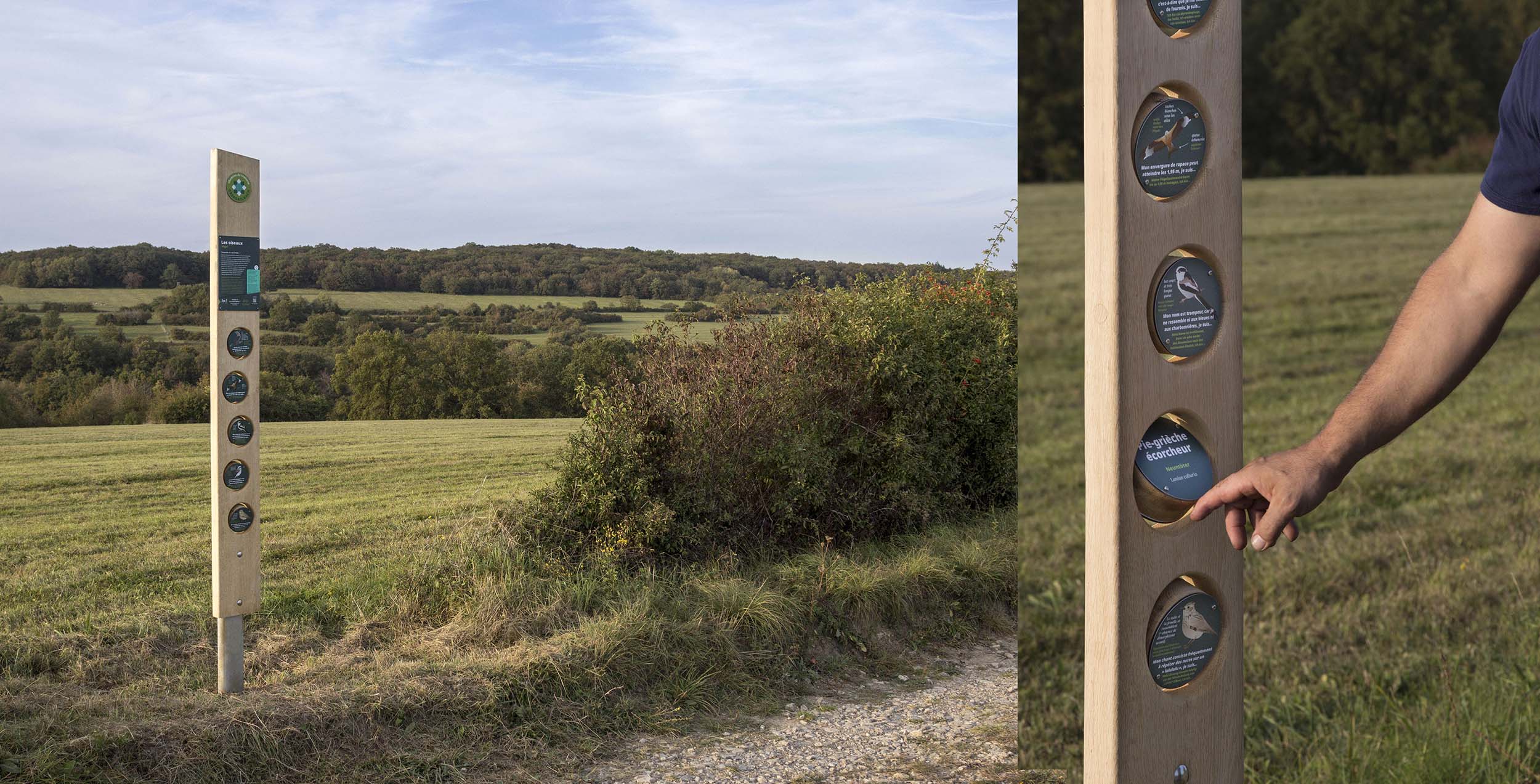 Totem jeu avec des disques rotatifs sur le thème des oiseaux