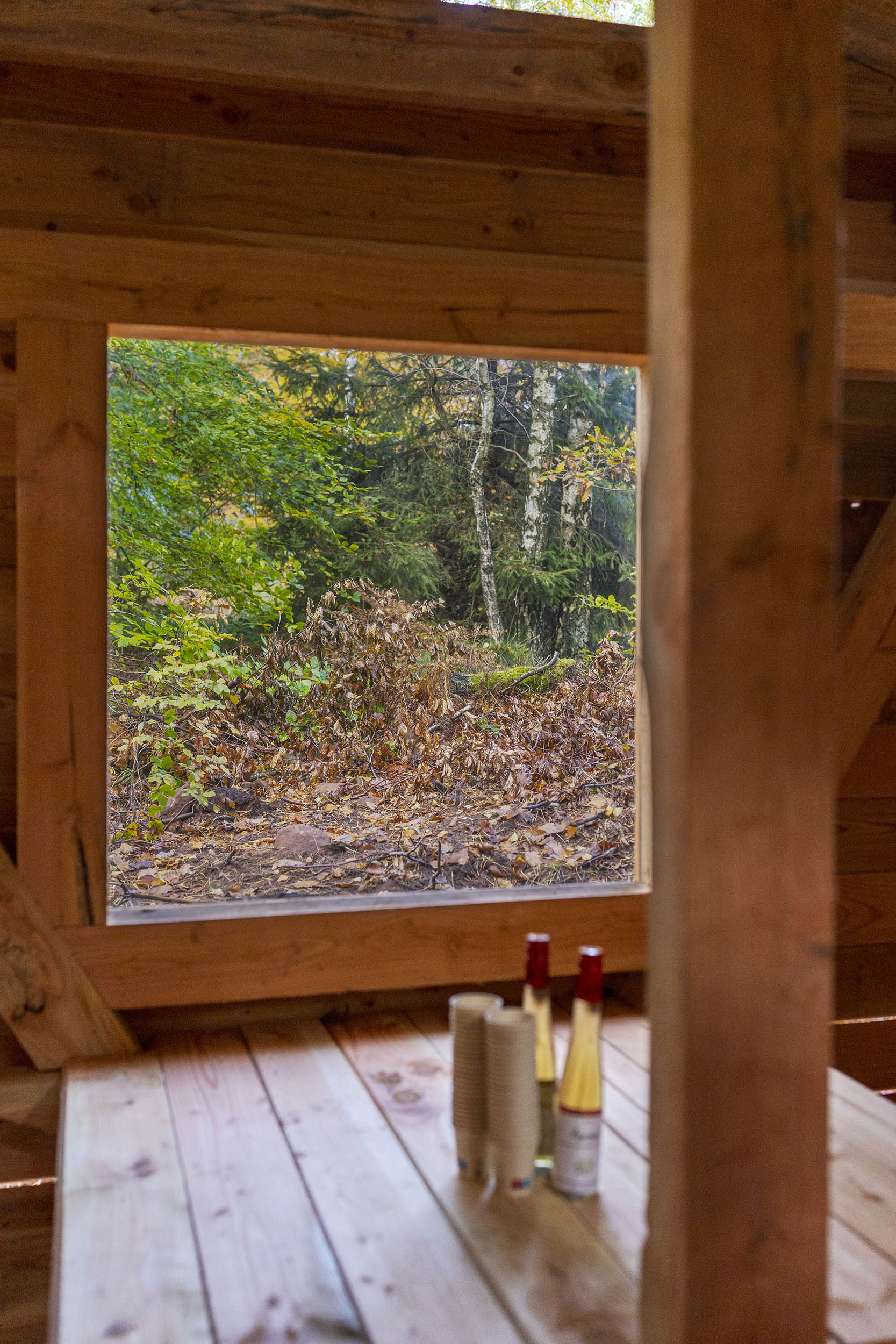Depuis l'intérieur de l'abri, on voit au premier plan, en flou, deux liqueurs de Waldmeister à l'aspérule odorante (le waldi) avec des verres empilés. A l'arrière plan, le sujet principal de l'image, à savoir une fenêtre ouverte sur le paysage naturel de la forêt.