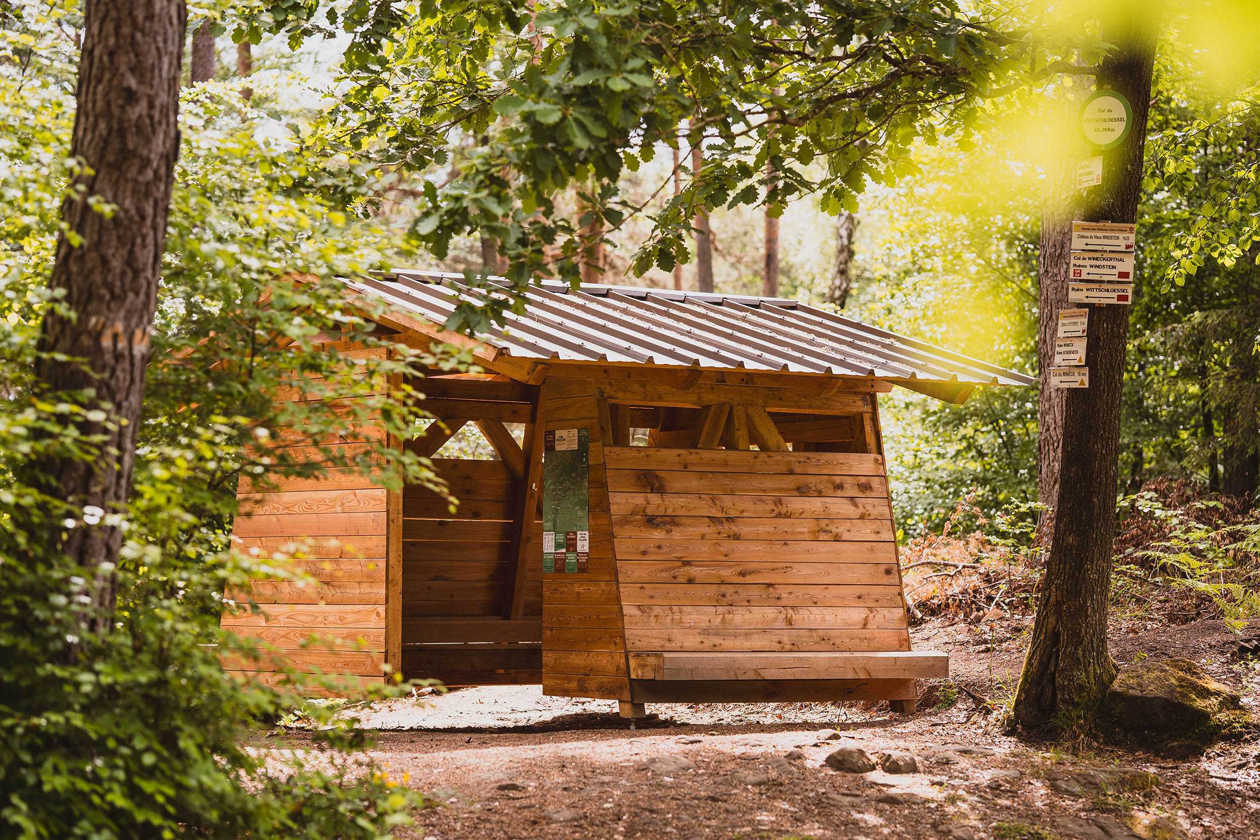 L'abri en bois "Le waldi" est visible à travers le feuillage de la forêt. On y aperçoit une cartographie ainsi que l'entrée qui donne envie d'y pénétrer.