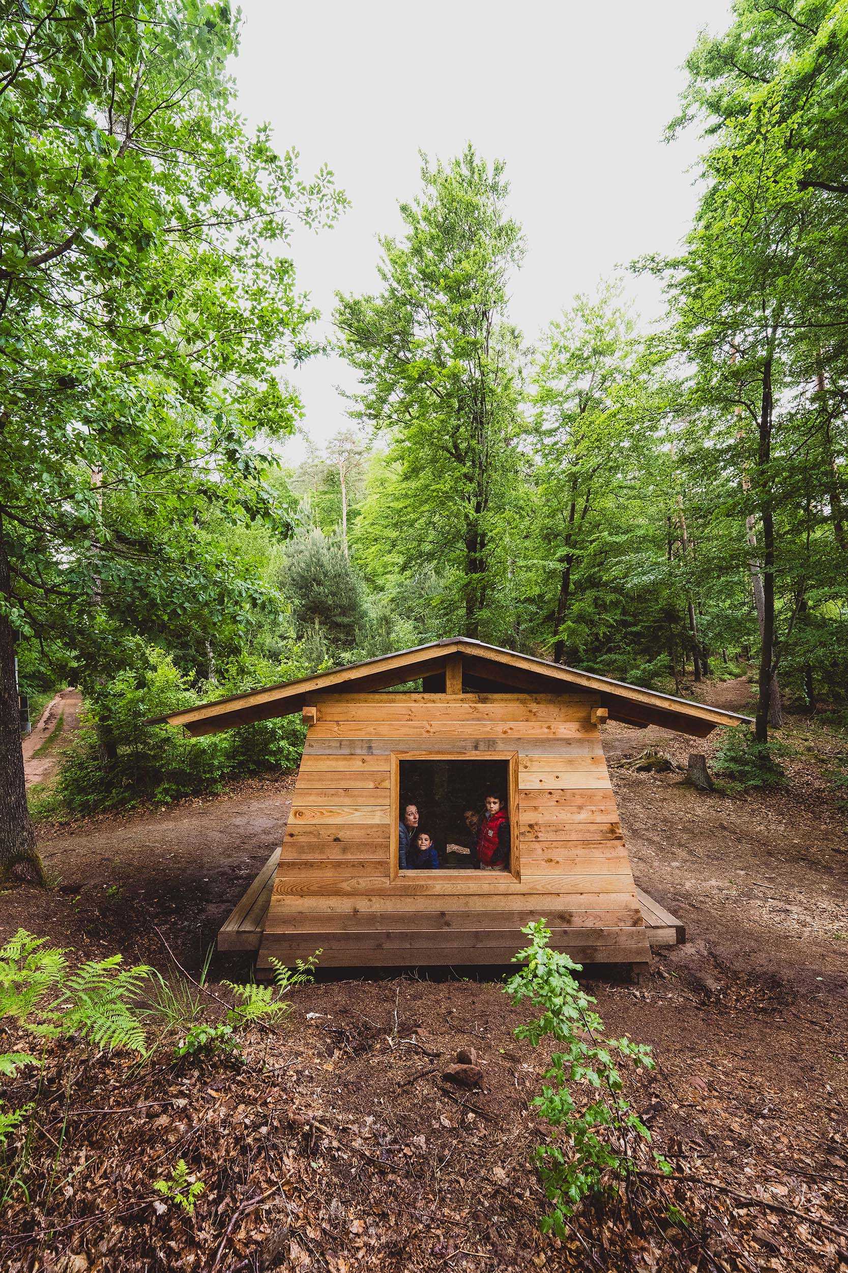 Les randonneurs admirent la forêt depuis la large fenêtre de l'abri WALDI